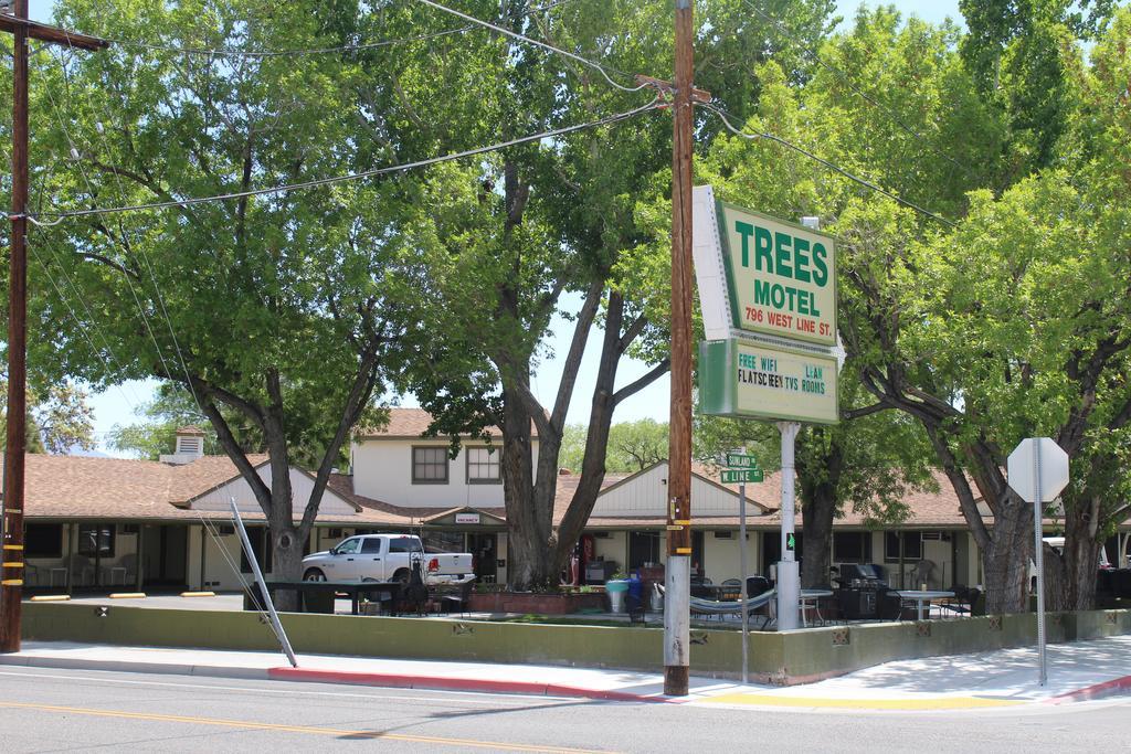 Trees Motel Bishop Exterior foto