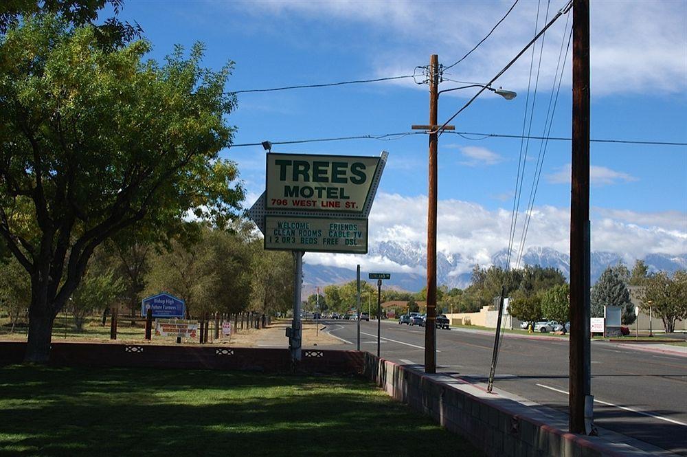 Trees Motel Bishop Exterior foto